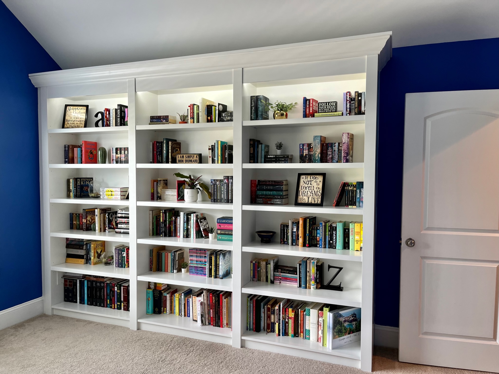 Built-in Bookcase with LED strip lights